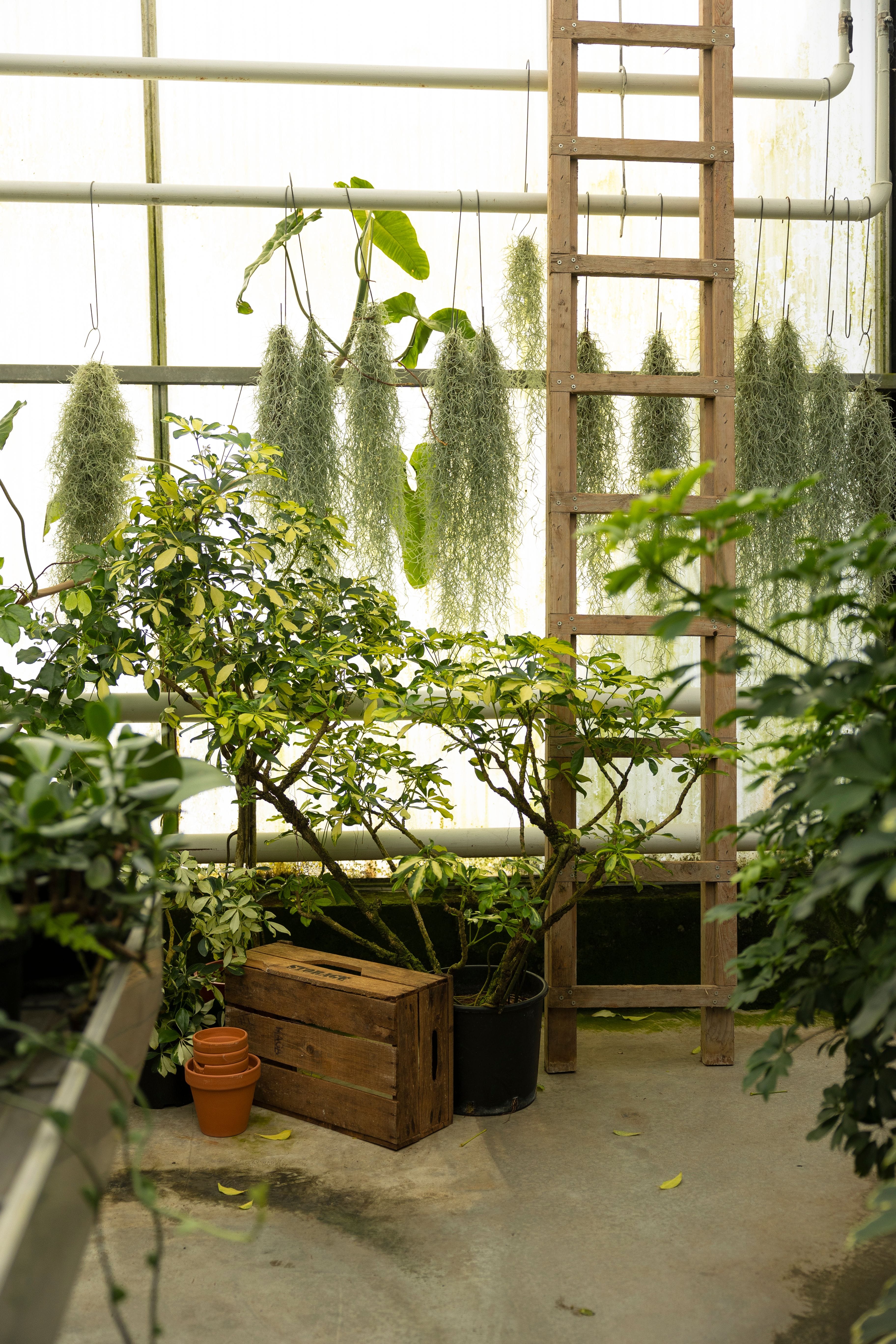 Mostert Broers_Portret en sfeer_35