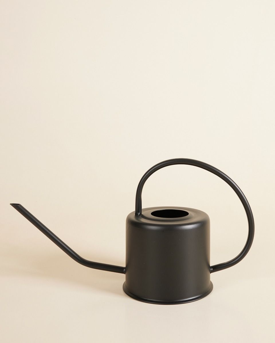 Ancho Watering Can Black 1.2 liter